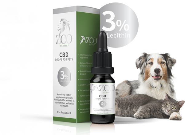 cbd pets